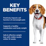 Hill's Science Diet Perfect Weight Small Bites Adult Dry Dog Food - Chicken - Image 5