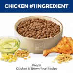 Hill's Science Diet Puppy Dry Dog Food - Chicken & Brown Rice - Image 3