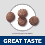 Hill's Science Diet Puppy Dry Dog Food - Lamb Meal & Brown Rice - Image 3