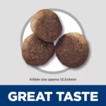 Hill's Science Diet Sensitive Stomach & Skin Adult Dry Dog Food - Alaskan Pollock - Image 3