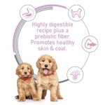 Hill's Science Diet Sensitive Stomach & Skin Puppy Dry Dog Food - Salmon & Brown Rice - Image 6