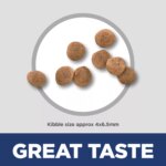 Hill's Science Diet Small & Mini Puppy Dry Dog Food - Chicken & Brown Rice - Image 3