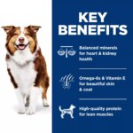 Hill's? Science Diet? 7+ Senior Dry Dog Food - Chicken, Barley & Brown Rice - Image 6