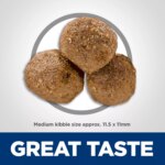 Hill's? Science Diet? Adult Dry Dog Food - Lamb & Brown Rice - Image 3