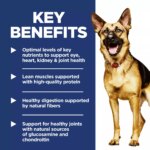 Hill's? Science Diet? Large Breed 6+ Senior Dry Dog Food - Chicken Recipe - Image 4