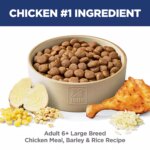 Hill's? Science Diet? Large Breed 6+ Senior Dry Dog Food - Chicken Recipe - Image 5