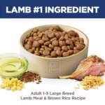 Hill's? Science Diet? Large Breed Adult Dry Dog Food - Lamb & Brown Rice - Image 5