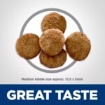 Hill's? Science Diet? Light Adult Dry Dog Food - Chicken & Barley - Image 3