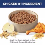 Hill's? Science Diet? No Corn, Wheat or Soy Adult Dry Dog Food - Chicken & Brown Rice - Image 2
