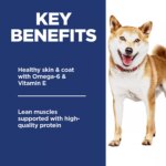 Hill's? Science Diet? No Corn, Wheat or Soy Adult Dry Dog Food - Chicken & Brown Rice - Image 5