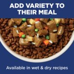 Hill's? Science Diet? No Corn, Wheat or Soy Adult Dry Dog Food - Chicken & Brown Rice - Image 7