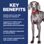 Hill's? Science Diet? No Corn, Wheat, or Soy Large Breed Adult Dry Dog Food - Chicken & Brown Rice - Image 4