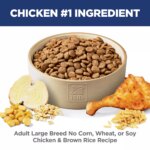 Hill's? Science Diet? No Corn, Wheat, or Soy Large Breed Adult Dry Dog Food - Chicken & Brown Rice - Image 5