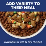 Hill's? Science Diet? No Corn, Wheat, or Soy Large Breed Adult Dry Dog Food - Chicken & Brown Rice - Image 7