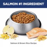 Hill's? Science Diet? Perfect Digestion Adult Dry Dog Food - Salmon, Brown Rice & Whole Oats - Image 4