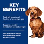 Hill's? Science Diet? Perfect Weight Small & Mini Adult Dry Dog Food - Chicken Recipe - Image 6