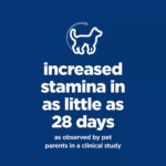 Hill's? Science Diet? Senior Vitality Small & Mini Adult 7+ Dry Dog Food - Chicken & Rice - Image 2