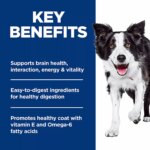 Hill's? Science Diet? Senior Vitality Small & Mini Adult 7+ Dry Dog Food - Chicken & Rice - Image 6