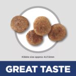 Hill's? Science Diet? Small & Mini 11+ Senior Dry Dog Food - Chicken & Brown Rice - Image 3