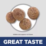 Hill's? Science Diet? Small & Mini 7+ Senior Dry Dog Food - Chicken & Brown Rice - Image 3