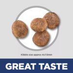 Hill's? Science Diet? Small & Mini Adult Dry Dog Food - Chicken & Brown Rice - Image 3