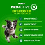 IAMS Proactive Health Dog Food Beef and Rice - Image 2
