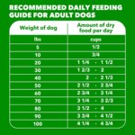 IAMS Proactive Health Dog Food Beef and Rice - Image 6
