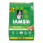 IAMS? Proactive Health Adult Dry Dog Food - High-Protein, Mini Chunks, Chicken & Whole Grains