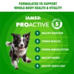 IAMS? Proactive Health Adult Dry Dog Food - High-Protein, Mini Chunks, Chicken & Whole Grains - Image 2