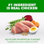 IAMS? Proactive Health Adult Dry Dog Food - High-Protein, Mini Chunks, Chicken & Whole Grains - Image 3