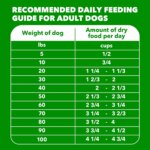 IAMS? Proactive Health Adult Dry Dog Food - High-Protein, Mini Chunks, Chicken & Whole Grains - Image 5