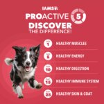 IAMS? Proactive Health Adult Dry Dog Food - Lamb & Rice - Image 2