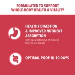 IAMS? Proactive Health Adult Dry Dog Food - Lamb & Rice - Image 4