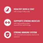 IAMS? Proactive Health Adult Dry Dog Food - Lamb & Rice - Image 5