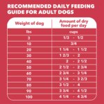 IAMS? Proactive Health Adult Dry Dog Food - Lamb & Rice - Image 6