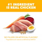 IAMS? Proactive Health Large Breed Puppy Dry Dog Food - Healthy Development, Chicken - Image 2