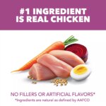 IAMS? Proactive Health Senior Dry Dog Food - Healthy Aging, Chicken & Whole Grains - Image 2