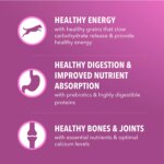 IAMS? Proactive Health Senior Dry Dog Food - Healthy Aging, Chicken & Whole Grains - Image 4