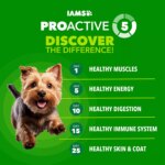 IAMS? Proactive Health Small Breed Adult Dry Dog Food - Chicken & Whole Grains - Image 5