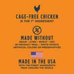 Instinct? Raw Boost Gut Health Kibble + Freeze-Dried Raw Adult Dry Dog Food - Grain Free, Chicken - Image 6