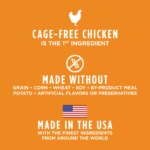 Instinct? Raw Boost Gut Health Kibble + Freeze-Dried Raw Adult Dry Dog Food - Grain Free, Chicken - Image 9