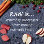 Instinct? Raw Boost Kibble + Freeze-Dried Raw All Life Stages Dry Dog Food - Raw, Grain Free, Beef - Image 4
