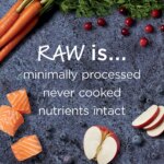 Instinct? Raw Boost Kibble + Freeze-Dried Raw All Life Stages Dry Dog Food - Raw, Grain Free, Salmon - Image 4