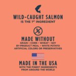 Instinct? Raw Boost Kibble + Freeze-Dried Raw All Life Stages Dry Dog Food - Raw, Grain Free, Salmon - Image 5