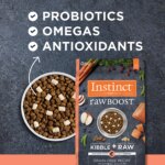 Instinct? Raw Boost Kibble + Freeze-Dried Raw All Life Stages Dry Dog Food - Raw, Grain Free, Salmon - Image 6