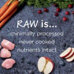 Instinct? Raw Boost Kibble + Freeze-Dried Raw Small Breed All Life Stages Dry Dog Food - Chicken - Image 4