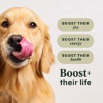 Instinct? Raw Boost? Whole Grain Kibble + Freeze-Dried Raw All Life Stages Dry Dog Food - Chicken - Image 5