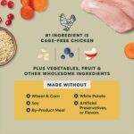 Instinct? Raw Boost? Whole Grain Kibble + Freeze-Dried Raw All Life Stages Dry Dog Food - Chicken - Image 6