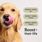 Instinct? RawBoost Whole Grain Kibble + Freeze-Dried Raw All Life Stage Dry Dog Food - Salmon & Rice - Image 5