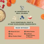 Instinct? RawBoost Whole Grain Kibble + Freeze-Dried Raw All Life Stage Dry Dog Food - Salmon & Rice - Image 6